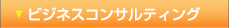ビジネスコンサルティング