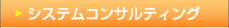 システムコンサルティング