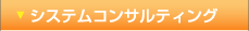 システムコンサルティング