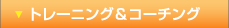 トレーニング&コーチング