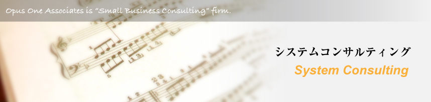 システムコンサルティング